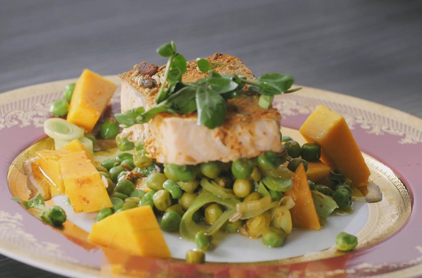 Salmon Salmon